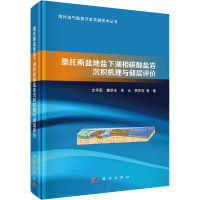 桑托斯盆地盐下湖相碳酸盐岩沉积机理与储层评价 文华国 等 著 专业科技 文轩网