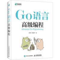 Go语言高级编程 柴树杉,曹春晖 著 专业科技 文轩网