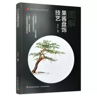 图解果酱盘饰技艺 李天乐 编 大中专 文轩网