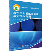 大气压介质阻挡放电表面改性应用 邵涛,方志,章程 著 专业科技 文轩网