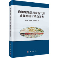 海相碳酸盐岩凝析气田成藏地质与效益开发 韩剑发 等 著 专业科技 文轩网