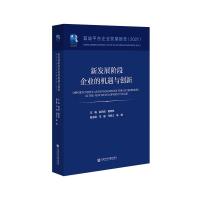 新发展阶段企业的机遇与创新——蓝迪平台企业发展报告(2021)