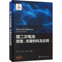 锂二次电池原理、关键材料及应用 中国化工学会,孙克宁 等 编 生活 文轩网