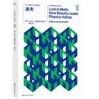 迷失 (德)扎比内.霍森费尔德 著 舍其 译 专业科技 文轩网