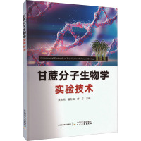 甘蔗分子生物学实验技术 黄东亮,潘有强,廖芬 编 专业科技 文轩网