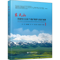 东天山铁铜等大宗矿产成矿规律与找矿预测 冯京 等 著 专业科技 文轩网