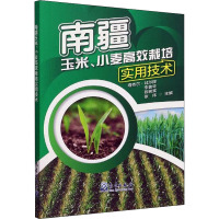 南疆玉米、小麦高效栽培实用技术 塔依尔·吐尔提 等 编 专业科技 文轩网