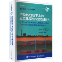 污染场地地下水的原位化学氧化修复技术 