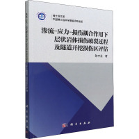 渗流-应力-损伤耦合作用下层状岩体损伤破裂过程及隧道开挖损伤区评估 陈宇龙 著 专业科技 文轩网