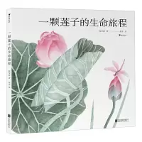 一颗莲子的生命旅程 陈莹婷 著 花青 绘 少儿 文轩网