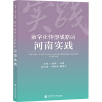 数字化转型战略的河南实践 赵西三,宋歌,刘晓萍 等 编 经管、励志 文轩网