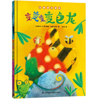 变变变,变色龙 (阿根廷)卡罗莱娜·法里亚斯 著 吉祥 译 少儿 文轩网