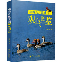 邛海及其流域观鸟图鉴 彭徐 编 专业科技 文轩网