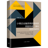 小微企业融资再担保体系风险形成、演化及防范研究 马国建 著 经管、励志 文轩网