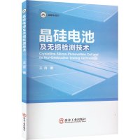 晶硅电池及无损检测技术 王月 著 专业科技 文轩网