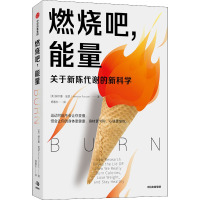 燃烧吧,能量 (美)赫尔曼·庞瑟 著 杨惠东 译 生活 文轩网