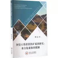 阿曼豆荚状铬铁矿成因研究:来自包裹体的限制 姚远 著 专业科技 文轩网