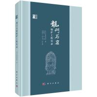 龙门石窟保护工程实录 龙门石窟研究院,陈建平,马朝龙 等 编 社科 文轩网