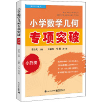 小学数学几何专项突破 小升初 李晨光 编 文教 文轩网