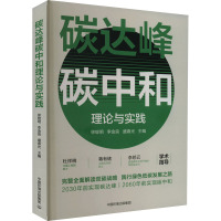 碳达峰碳中和理论与实践 徐锭明,李金良,盛春光 编 专业科技 文轩网