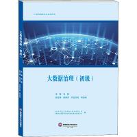 大数据治理(初级) 石勇,田英杰,尔古打机 等 编 大中专 文轩网