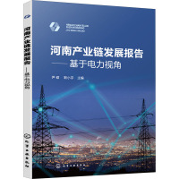 河南产业链发展报告——基于电力视角 尹硕,靳小宇 编 专业科技 文轩网