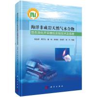 海洋非成岩天然气水合物固态流化开采模拟实验技术及系统 赵金洲 等 著 专业科技 文轩网