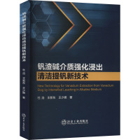 钒渣碱介质强化浸出清洁提钒新技术 杜浩,王新东,王少娜 著 专业科技 文轩网