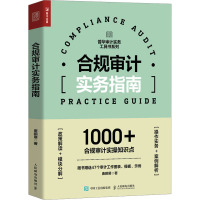 合规审计实务指南 唐鹏展 著 经管、励志 文轩网