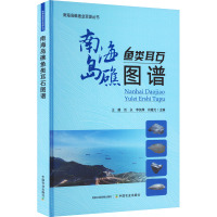 南海岛礁鱼类耳石图谱 王腾 等 编 专业科技 文轩网