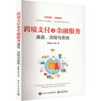 跨境支付及金融服务 通道、流程与系统 胡丕辉,孙韬 著 经管、励志 文轩网