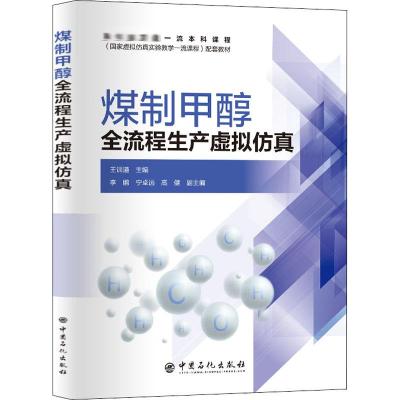 煤制甲醇全流程生产虚拟仿真 王训遒 编 专业科技 文轩网