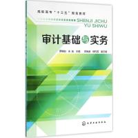 审计基础与实务 罗佛如,朱彪 主编 著作 大中专 文轩网