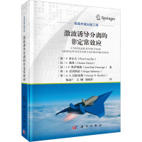 激波诱导分离的非定常效应 (波)P.多尔夫 等 著 杨彦广,王刚,谢祝轩 译 专业科技 文轩网