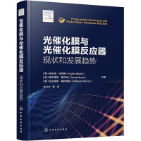 光催化膜与光催化膜反应器 现状和发展趋势 (意)安杰洛·巴西莱,(波)西尔维亚·莫齐纳,(意)拉法埃莱·莫利纳里 编 