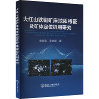 大红山铁铜矿床地质特征及矿体定位机制研究 金廷福,李佑国 著 专业科技 文轩网