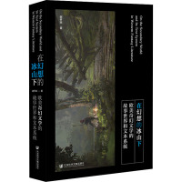 在幻想的冰山下 欧美奇幻文学的故事世界和文本系统 谢开来 著 文学 文轩网