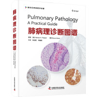 肺病理诊断图谱 (奥)赫尔穆特·H.波普尔,(意)布鲁诺·穆勒 著 杨连君,司晓辉 译 生活 文轩网
