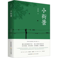 小街景 吴佳骏 著 文学 文轩网