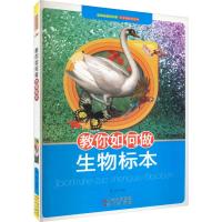 教你如何做生物标本 最新版 魏榕 编 文教 文轩网