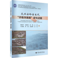 大兴安岭地区古生代"洋板块地质"研究进展 杨晓平 等 著 专业科技 文轩网