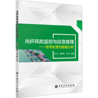 光纤风险监控与应急管理——信号处理与智能分析 王松,胡燕祝,宋钢 编 专业科技 文轩网