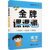 金3练 金牌课课通 语文 6年级下册 全国版 《金牌课课通》编写组 编 文教 文轩网