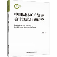 中国固体矿产资源会计规范问题研究 魏紫 著 经管、励志 文轩网