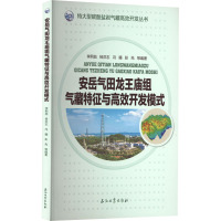 安岳气田龙王庙组气藏特征与高效开发模式 李熙喆 等 编 专业科技 文轩网