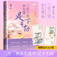 三生三世步生莲·3 足下千劫 唐七 著 文学 文轩网