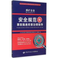 煤矿企业安全规范与事故隐患排查治理指导 《企业安全规范与事故隐患排查治理指导丛书》编委会 编 专业科技 文轩网