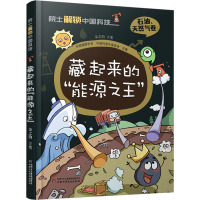 藏起来的"能源之王" 金之钧 少儿 文轩网