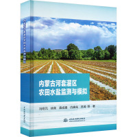 内蒙古河套灌区农田水盐监测与模拟 冯绍元 等 著 专业科技 文轩网