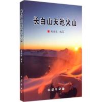 长白山天池火山 无 著作 魏海泉 编者 专业科技 文轩网